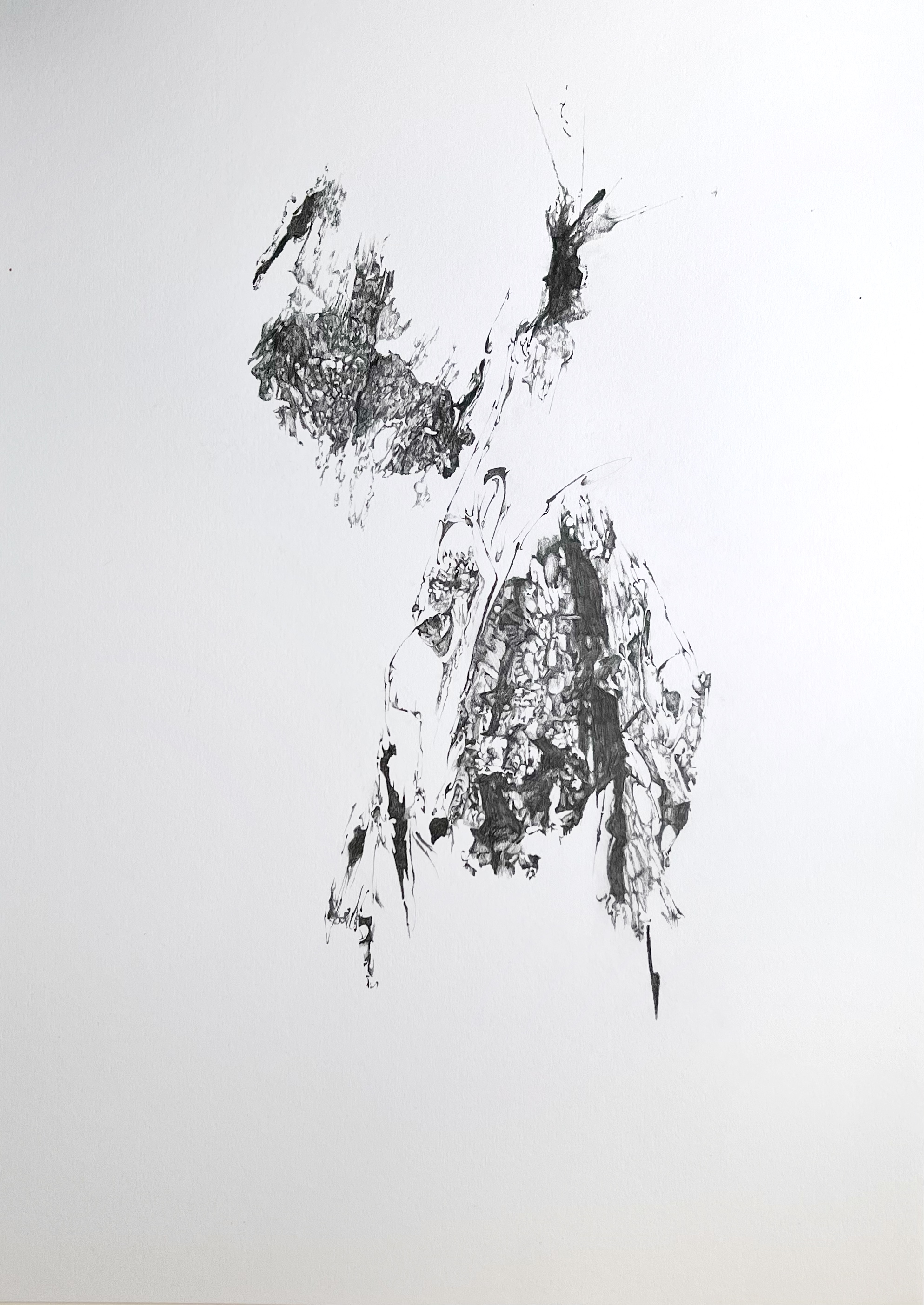 tay newton portfolio work 5