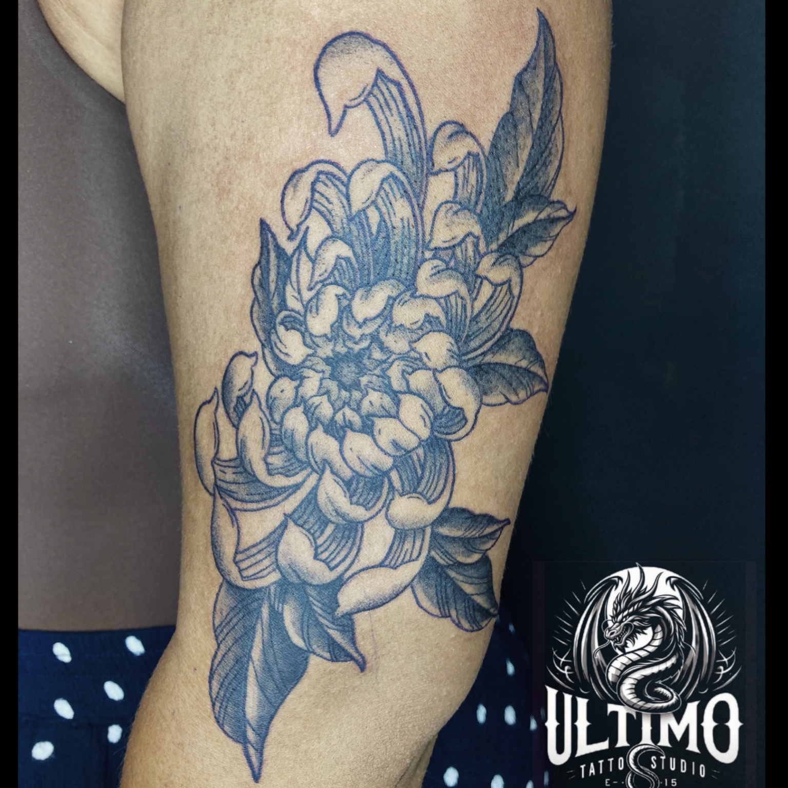 Aranzazu  Saez portfolio work 4