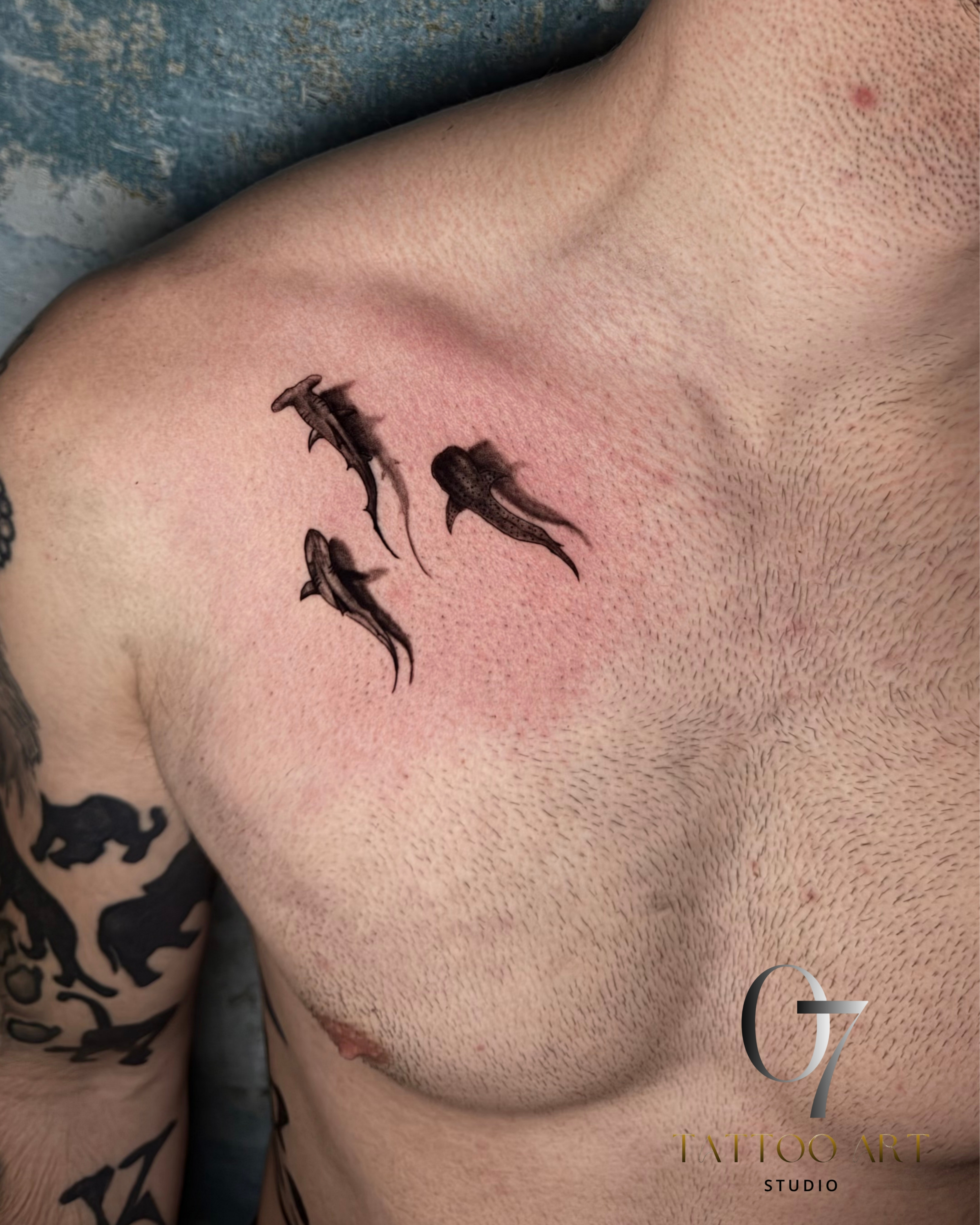 Caner Gulcan portfolio work 4