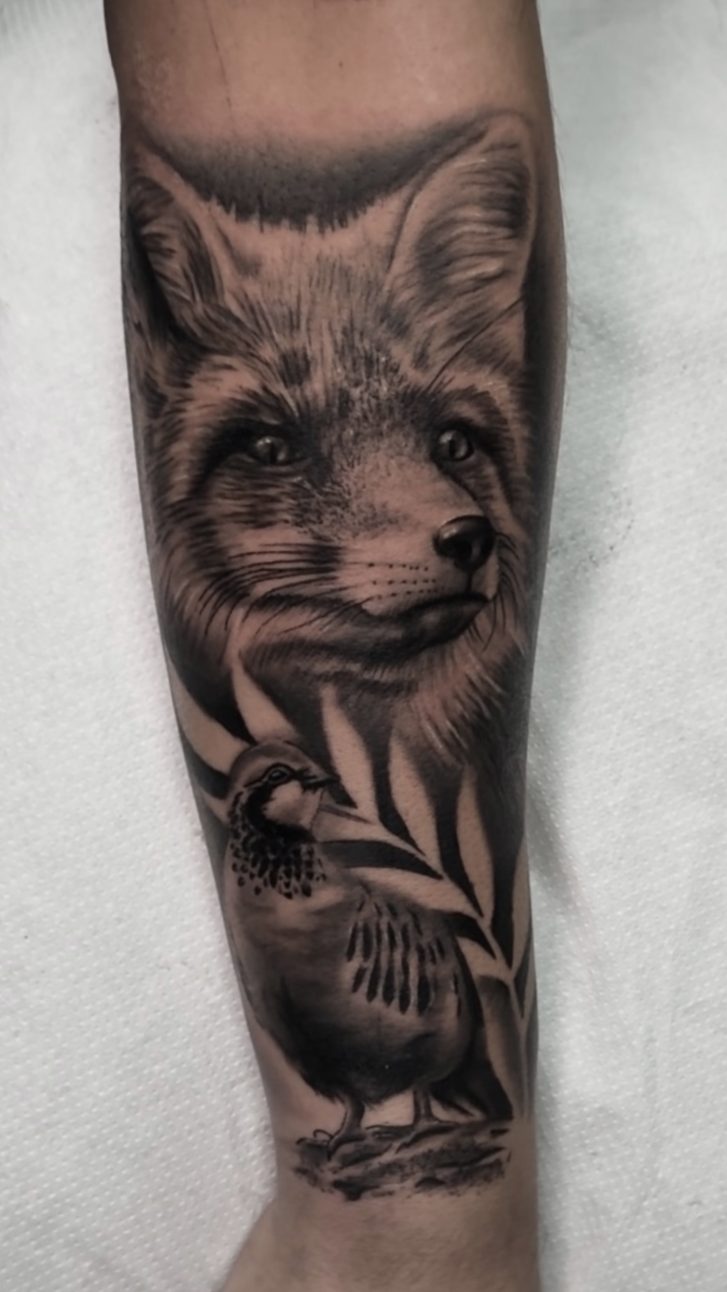 Hely  Tattoo portfolio work 3