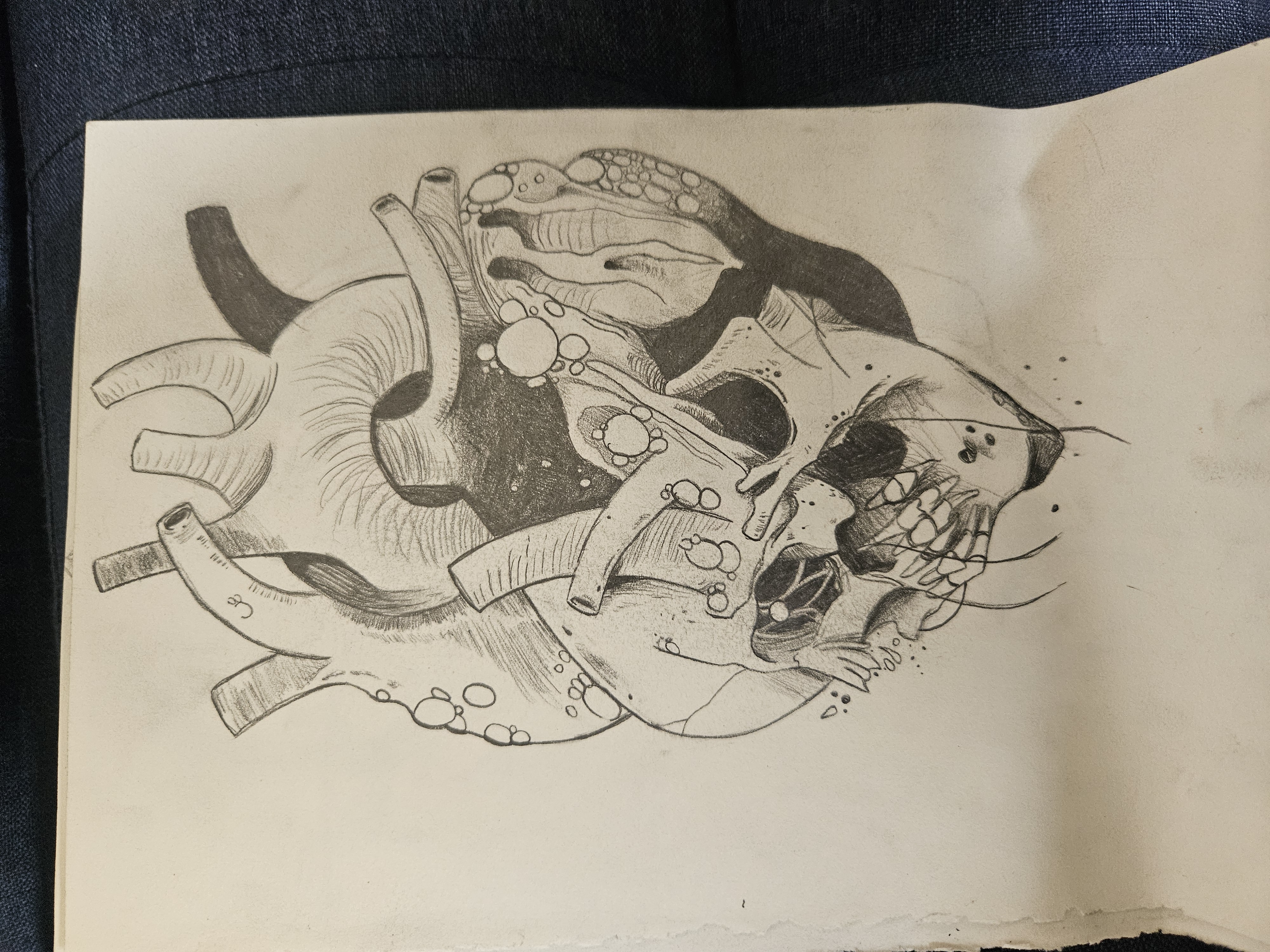 Kimberly Sanders portfolio work 1