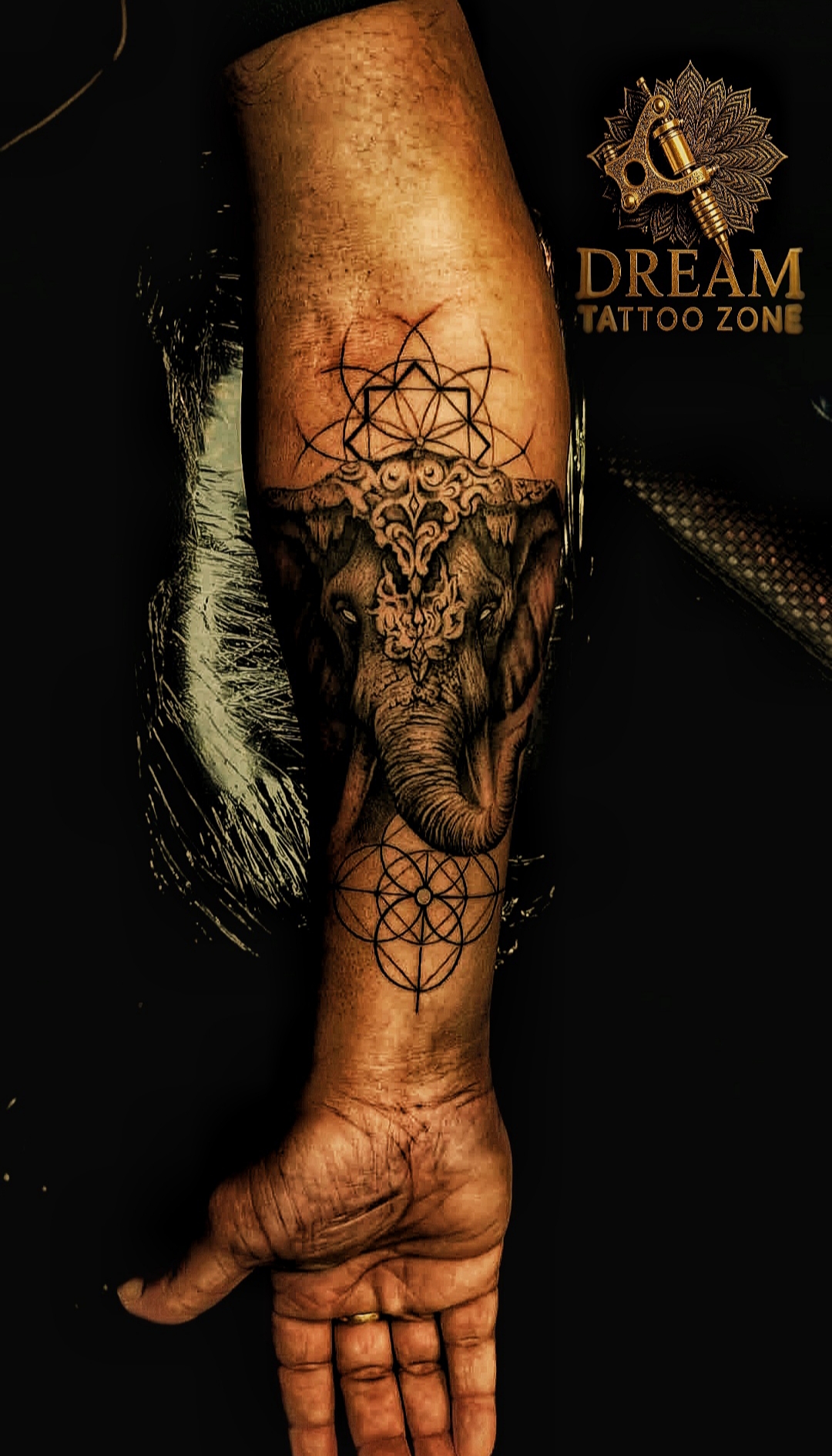 Swapnadip  Das portfolio work 2