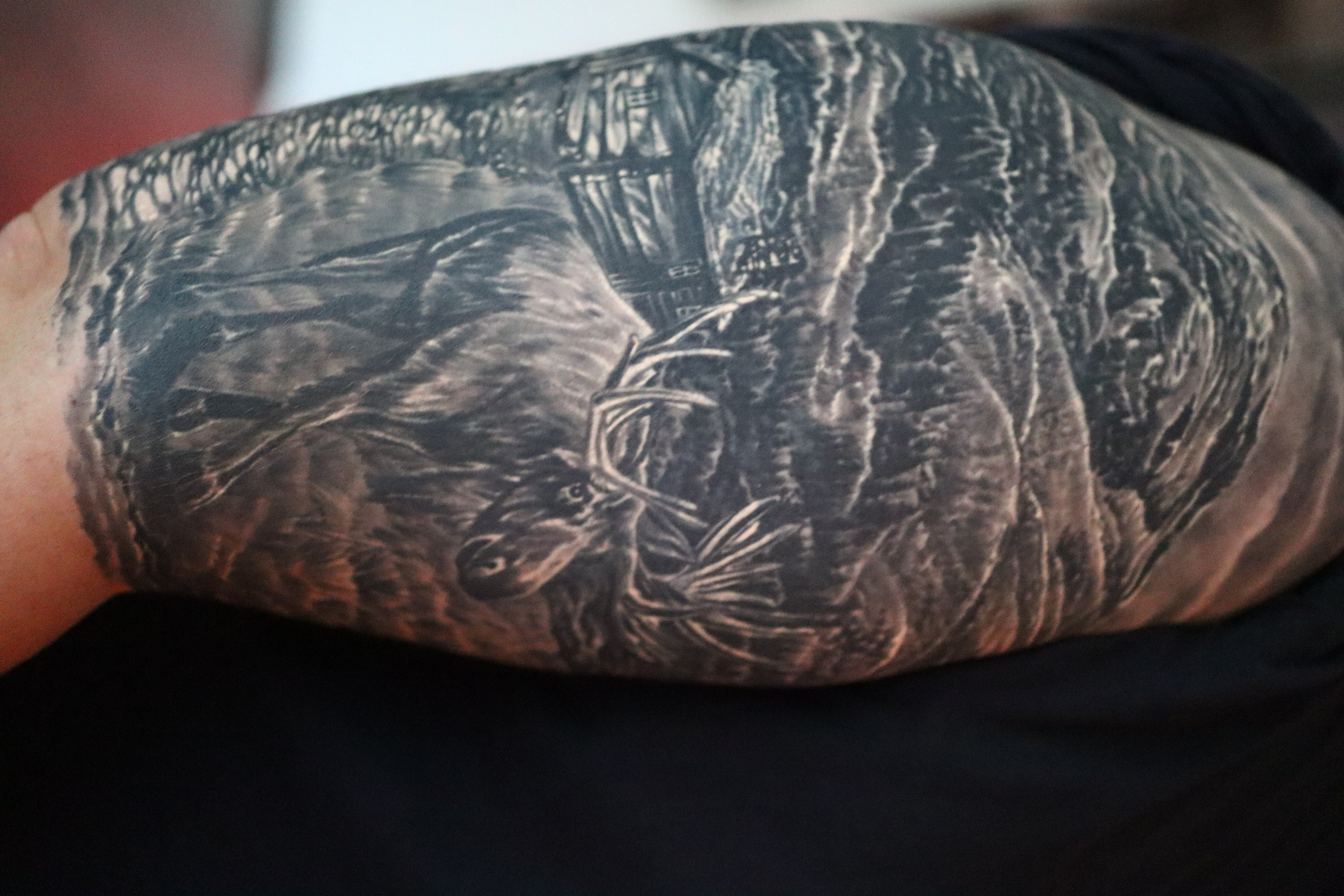 Ivan Ivanov  portfolio work 2